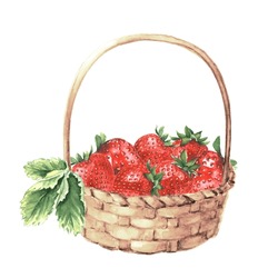 Watercolor Red Strawberry In Basket Isolated On White