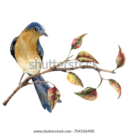 Watercolor robin redbreast sitting on tree branch with red and yellow leaves. Autumn illustration with bird and fall leaves isolated on white background. Nature print for design