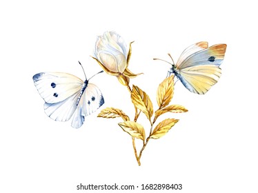 Watercolor rose with butterflies. Realistic branch with golden leaves isolated on white. Detailed white rose bud. Botanical floral illustration with insect.