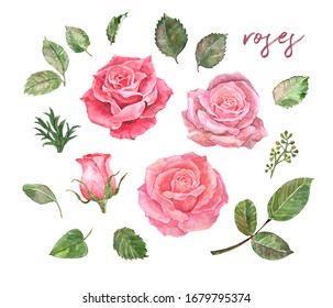 Rose Design Images Stock Photos Vectors Shutterstock Rose Design Images Stock Photos Vectors Shutterstock