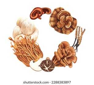 Watercolor round frame medicinal mushroom  adaptogenic plant  Hand  drawn illustration isolated white background  Perfect concept for healthy chinese medicine popular superfood  design packing