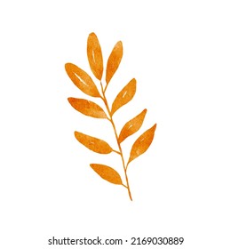 Watercolor Rowan Tree Leaf Isolated On White Background. Autumn Drawing Of Plant. Fall Illustration