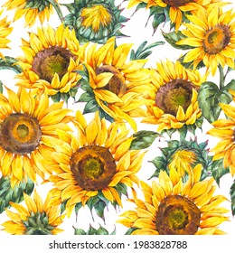 Watercolor rustic seamless pattern, farmhouse sunflower wildflowers, meadow flowers texture. Vintage yellow sunflower aesthetic wallpaper on white background.