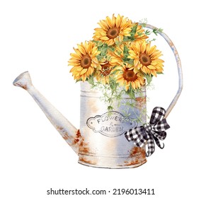 Watercolor Rusty iron watering can and sunflower bouquet  Farmhouse style illustration   Vintage french country design