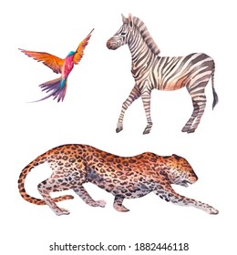 Watercolor Safari Animals Illustration. Hand Drawn Set Of Animals Isolated On White Background. African Fauna: Leopard, Zebra, Tropical Bird