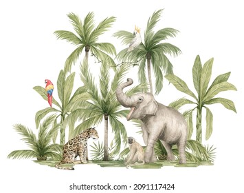 Watercolor safari animals and tropical palms. Jungle compositions. Elephant, jaguar, monkey, parrots. Bright summer exotic jungle. 