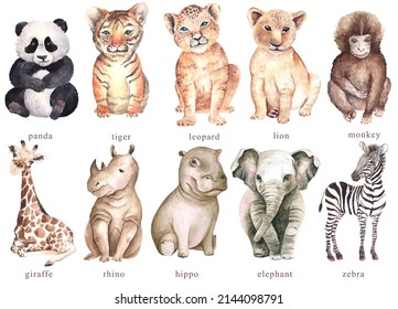 Watercolor Safari Baby Animals Clipart Perfect For Jungle Baby Shower, Sublimation, Scrapbooking, Fabric Print