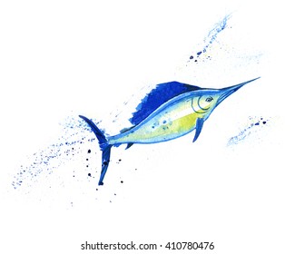 Watercolor Sailfish