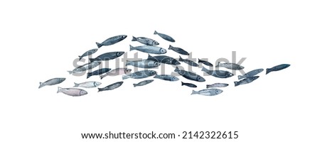 Watercolor School of Fish
collection isolated on white background. Cute underwater animals illustration.