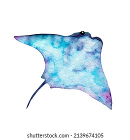 Watercolor Sea Animal Stingray. Electric Danger Stingray.