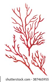 Watercolor sea coral set. Hand painted illustration.