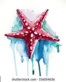 14,939 Starfish watercolor Images, Stock Photos & Vectors | Shutterstock