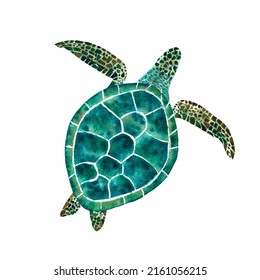 645 Drawing turtle realistic Images, Stock Photos & Vectors | Shutterstock