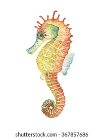 Watercolor seahorse.