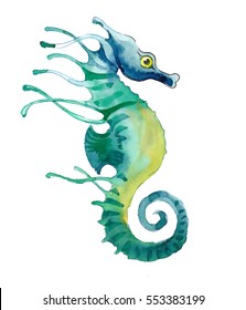 Watercolor Seahorse