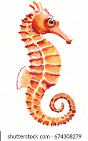 Watercolor seahorse