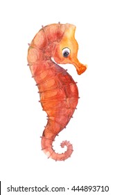 Watercolor seahorse, hand painted illustration. funny seahorses 