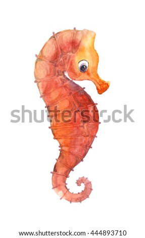 Watercolor seahorse, hand painted illustration. funny seahorses 