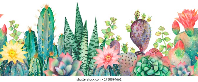 Watercolor Succulent Border Images, Stock Photos & Vectors | Shutterstock
