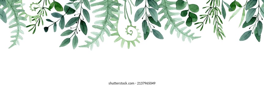 watercolor seamless border, frame. with forest leaves and herbs. simple abstract leaves of fern, eucalyptus, rosemary.