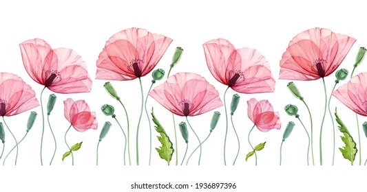 Watercolor seamless border with Poppy. Summer field flowers with green leaves. Floral horizontal line in repeat. Realistic botanical illustration Watercolor seamless border with Poppy. Summer field flowers with green leaves. Floral horizontal line in repeat. Realistic botanical illustration