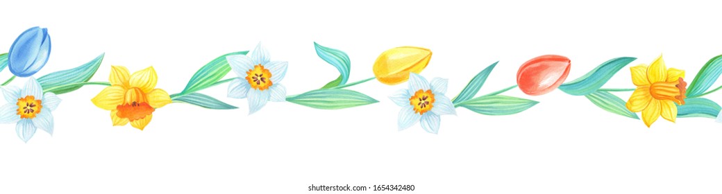 Watercolor seamless border with spring narcissus flowers.Watercolour illustration colorful tulips and daffodils.
