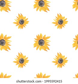 Watercolor Seamless Fall Pattern With Sunflowers.Botanical Print On White Isolated Background Hand Painted.Designs For Textiles,wallpaper,packaging,wedding Invitations,scrapbooking,wrapping Paper.