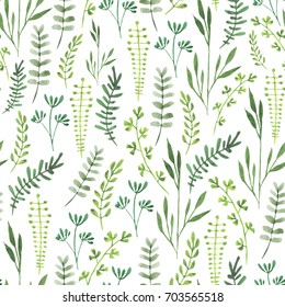 Watercolor Seamless Floral Pattern With Herbs. Simple Plants