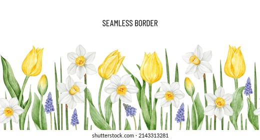 Watercolor seamless horizontal pattern. Botanical spring blossom border. Yellow tulip, daffodil, muscari flowers. Hand painted floral arrangement for greeting card.