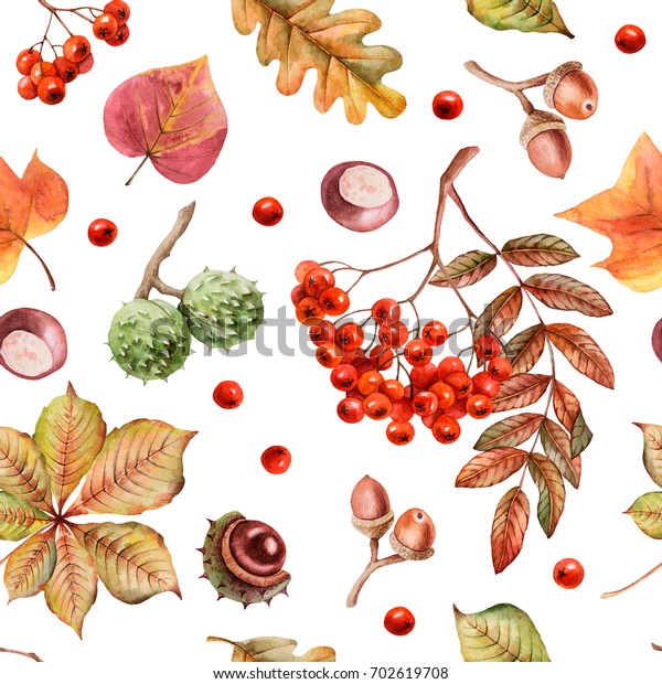 白い背景に水彩のシームレスな紅葉 木の実 ベリー 手描きの花柄イラスト ローワンベリー 栗 どんぐり のイラスト素材