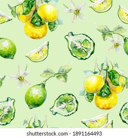 Watercolor seamless pattern bergamot on a color background.