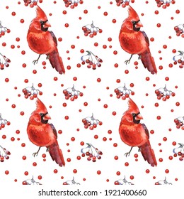 Watercolor seamless pattern. Cardinal birds. Set of elements for design Isolated on white background. Realistic sketch drawing. 