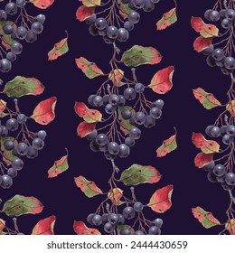 Watercolor seamless pattern with chokeberry, red leaves on a dark blue background. Black rowan autumn hand-drawn illustration - Powered by Shutterstock