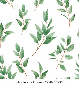 Watercolor Seamless Pattern With Eucalyptus Branches On A White Background. Foliage, Greenery, Eucalyptus Leaves. For Textiles, Wallpaper, Invitations, Greetings.