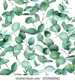 Watercolor Seamless Pattern With Eucalyptus Leaves On A White Background. Vintage Print, Botanical Illustration, Hand Drawing.