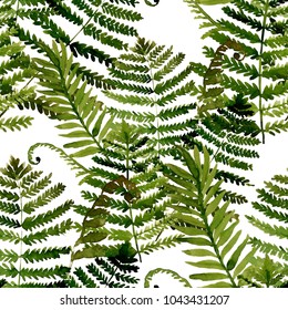 Watercolor seamless pattern with fern leaves.