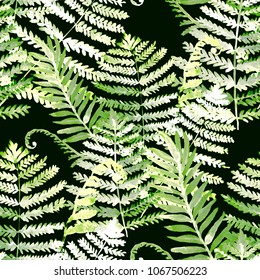 Watercolor seamless pattern with fern leaves.
