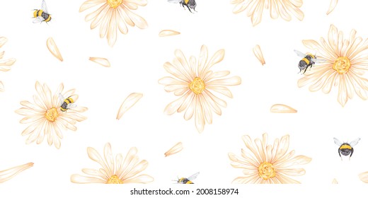 Watercolor seamless pattern with illustration of flying bumblebee, chamomile, petal isolated on white background. Cute vintage flat nature and floral design.