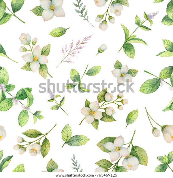 白い背景に水彩のシームレスな模様とジャスミンの花とミントの葉 グリーティングカード 結婚式の招待状 自然の化粧品 パッケージ お茶のデザイン用のイラスト のイラスト素材