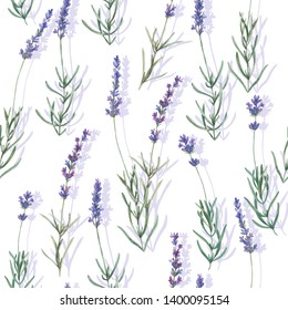 Watercolor seamless pattern with lavender  flowers .Hand drawn illustration on white background.