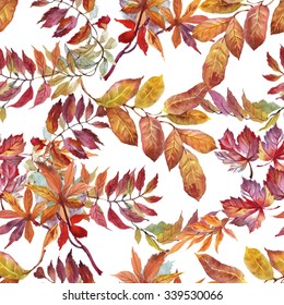 Watercolor Seamless Pattern On White Background With Autumn Leaves