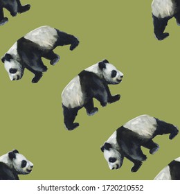 Oso Panda Fondo Blanco Images Stock Photos Vectors Shutterstock