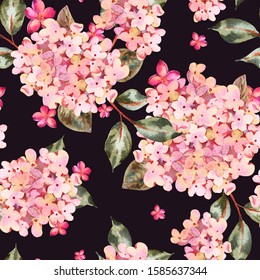 Watercolor seamless pattern with pink blooming hydrangea, wildflowers. Natural botanical floral texture on black background, Summer Flowers