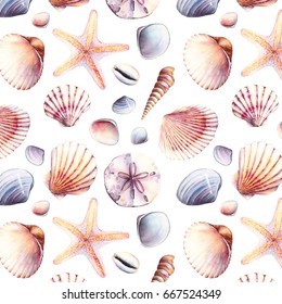 Watercolor Seamless Pattern With Sea Shells On White Background