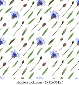 Watercolor seamless pattern with twigs, leaves, buds and flowers of the cornflower plant