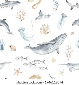 Watercolor seamless pattern with underwater world, fish, whale, shark, dolphin, starfish, jellyfish, algae, seashells