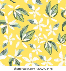 Motif harmonieux à l'aquarelle de jasmin blanc, feuilles vertes, peinture botanique, papier d'emballage floral, textile : illustration de stock