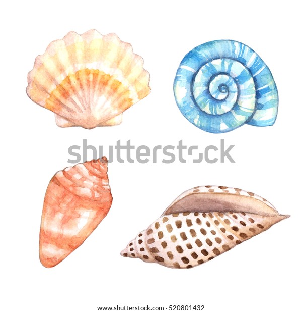 Watercolor Seashell Stock Illustration