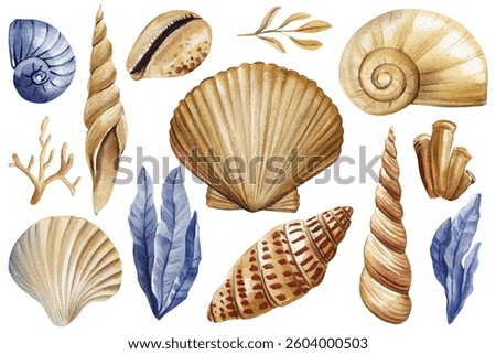 Watercolor seashells, ocean elements set with seaweed, coral and spiral shells in natural beige and blue colors Clipart
