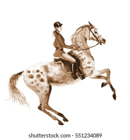 Watercolor Sepia Rider And Horse On White. Sepia Horseman Girl On Rearing Up Stallion. England Equestrian Sport. Hand Drawing Illustration.